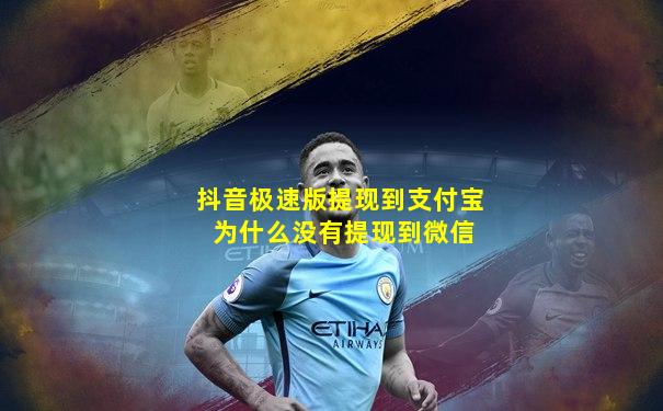 抖音极速版提现到支付宝 为什么没有提现到微信